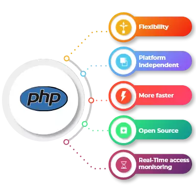 Web Development Company In India